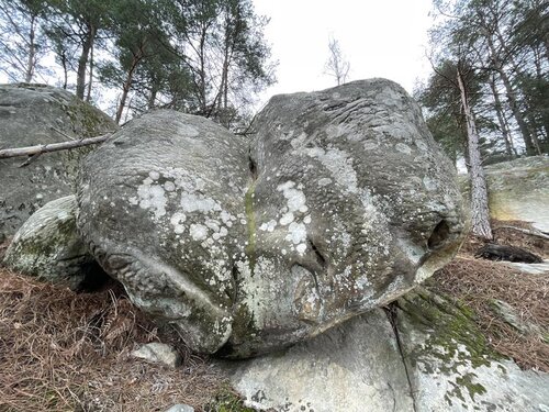 Image of Le Pince-Doigts (3)